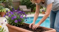 Hummingbirds Love These Purple Fall Flowers – Plant Them Now For More Backyard Visitors