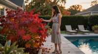 Instead Of Burning Bush, Grow This Native Shrub Instead – It Has Gorgeous Fall Color And Supports Wildlife