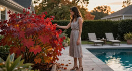 Instead Of Burning Bush, Grow This Native Shrub Instead – It Has Gorgeous Fall Color And Supports Wildlife