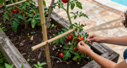 Save Money In The Garden: 6 Ingenious Plant Supports You Can Make Without Buying Anything New