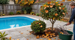 Think Twice Before Pruning Trees In October – Only These 3 Exceptions Can Tolerate A Light Trim